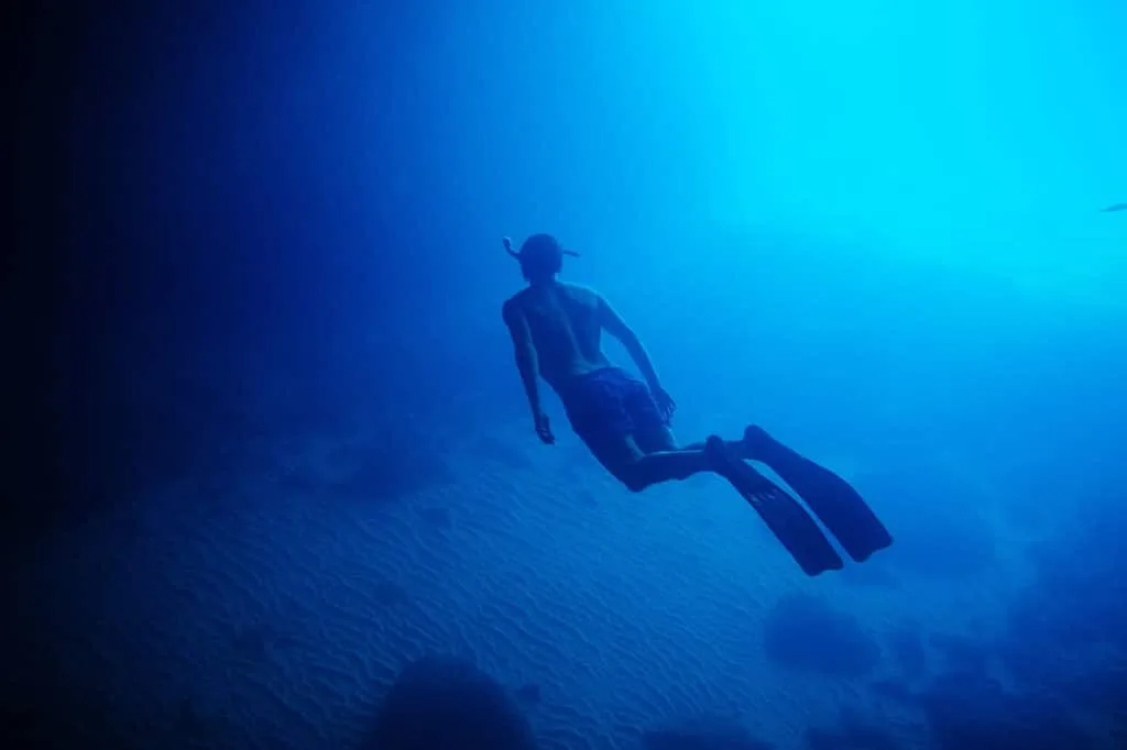 Snorkel Day Opens up New