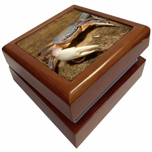 dRose Blue Crab, served in local restaurants, Old San Juan CAGJO Greg Johnston, Jewelry Box jb