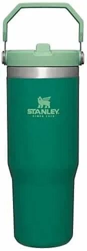 Stanley IceFlow Stainless Steel Tumbler with Straw Vacuum Insulated Water Bottle for Home, Office or Car Reusable Cup Leakproof Flip Cold Hours Iced Days (Alpine) , oz