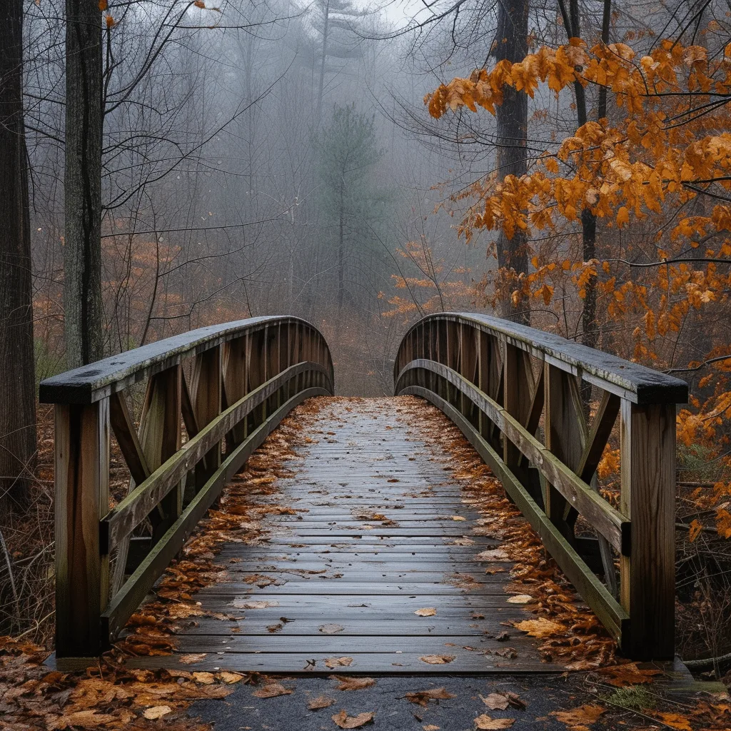 Wooden Bridges